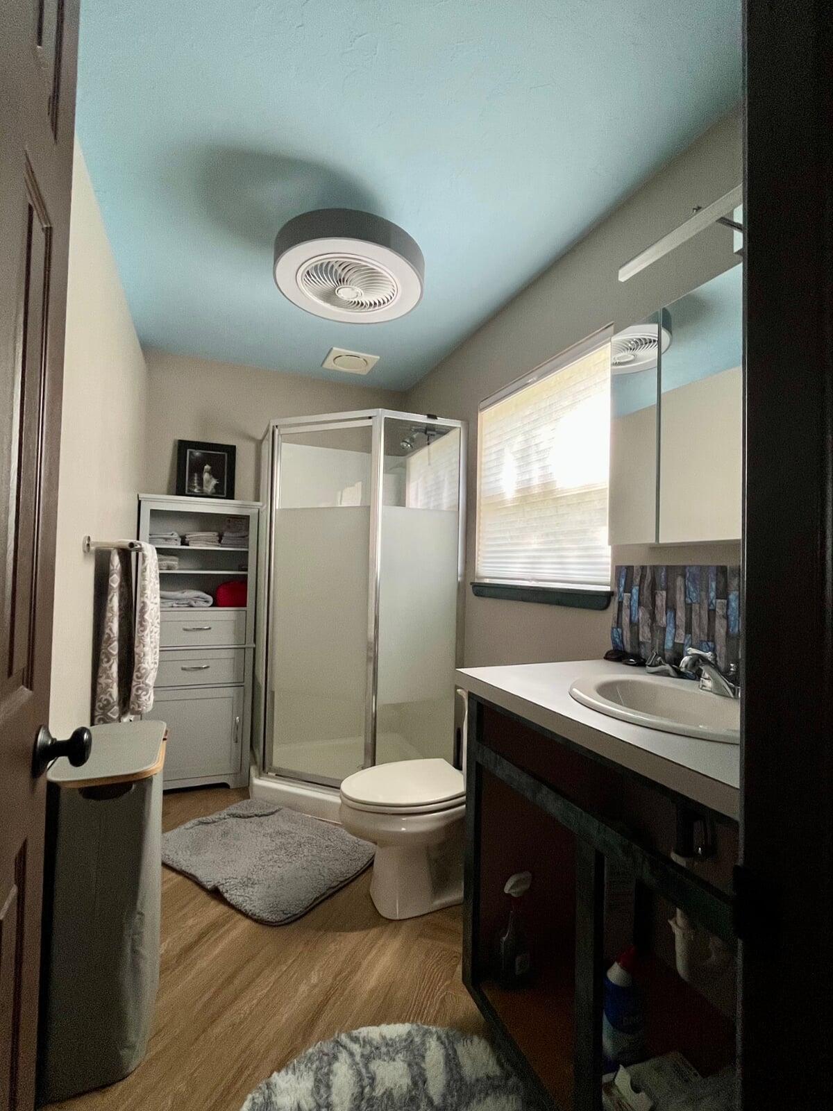 Tiny Home Bathroom